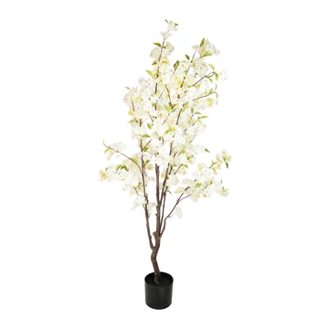 CSERESZNYEFA FEHÉR - M