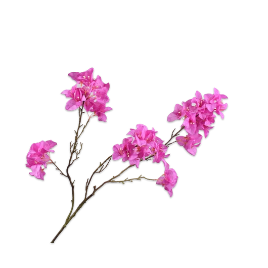 BOUGAINVILLEA PINK