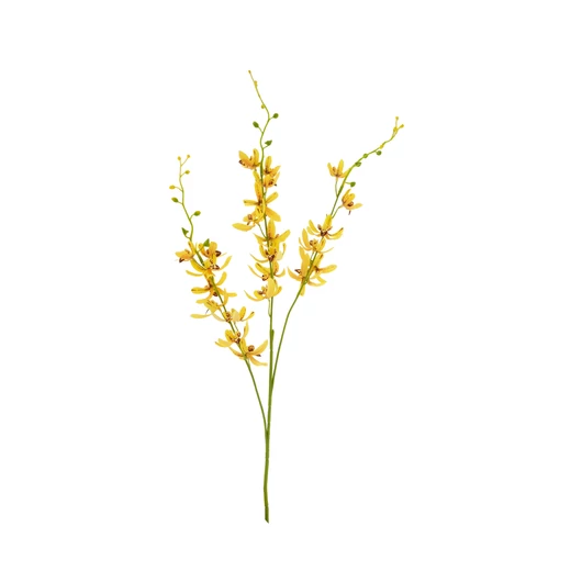 DENDROBIUM CITROMSÁRGA