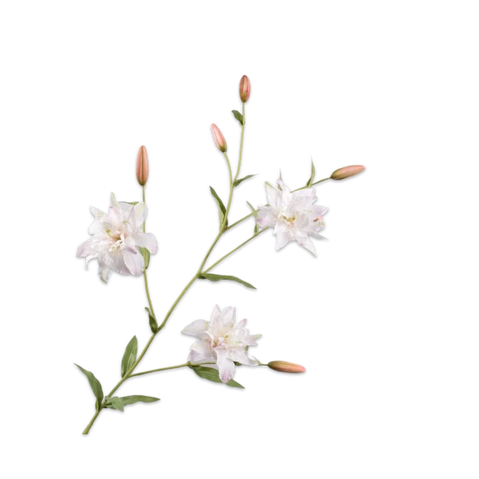 LILIOM