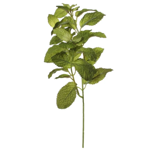 MENTA - M