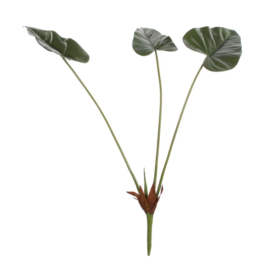 MŰANTHURIUM TŐ