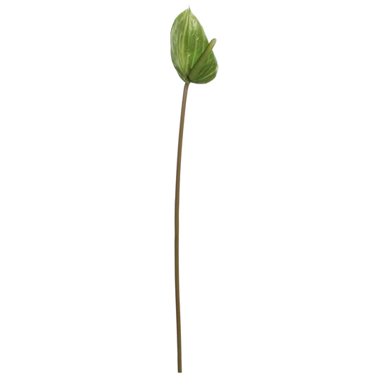 MŰANTHURIUM